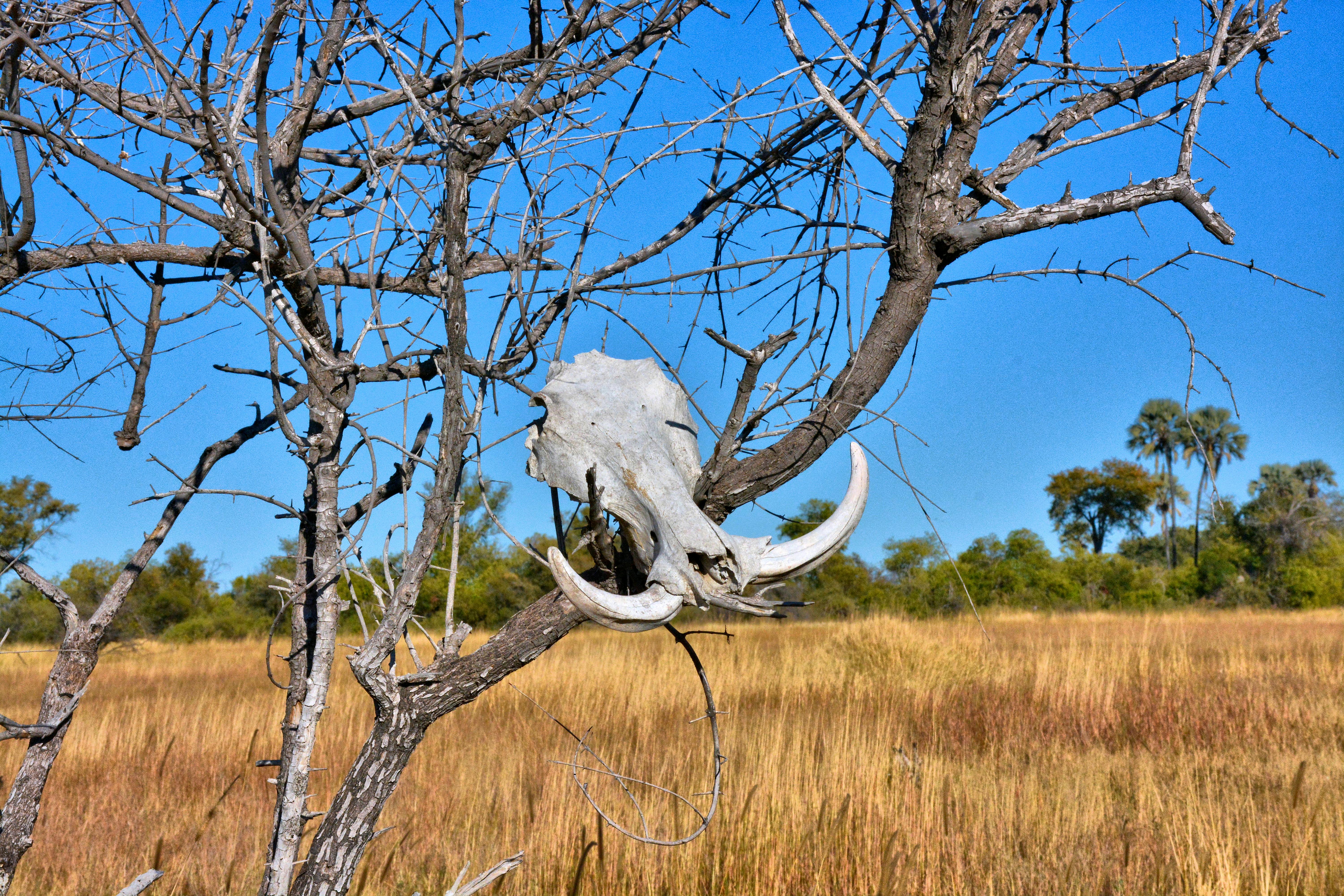 Lake Mburo National Park